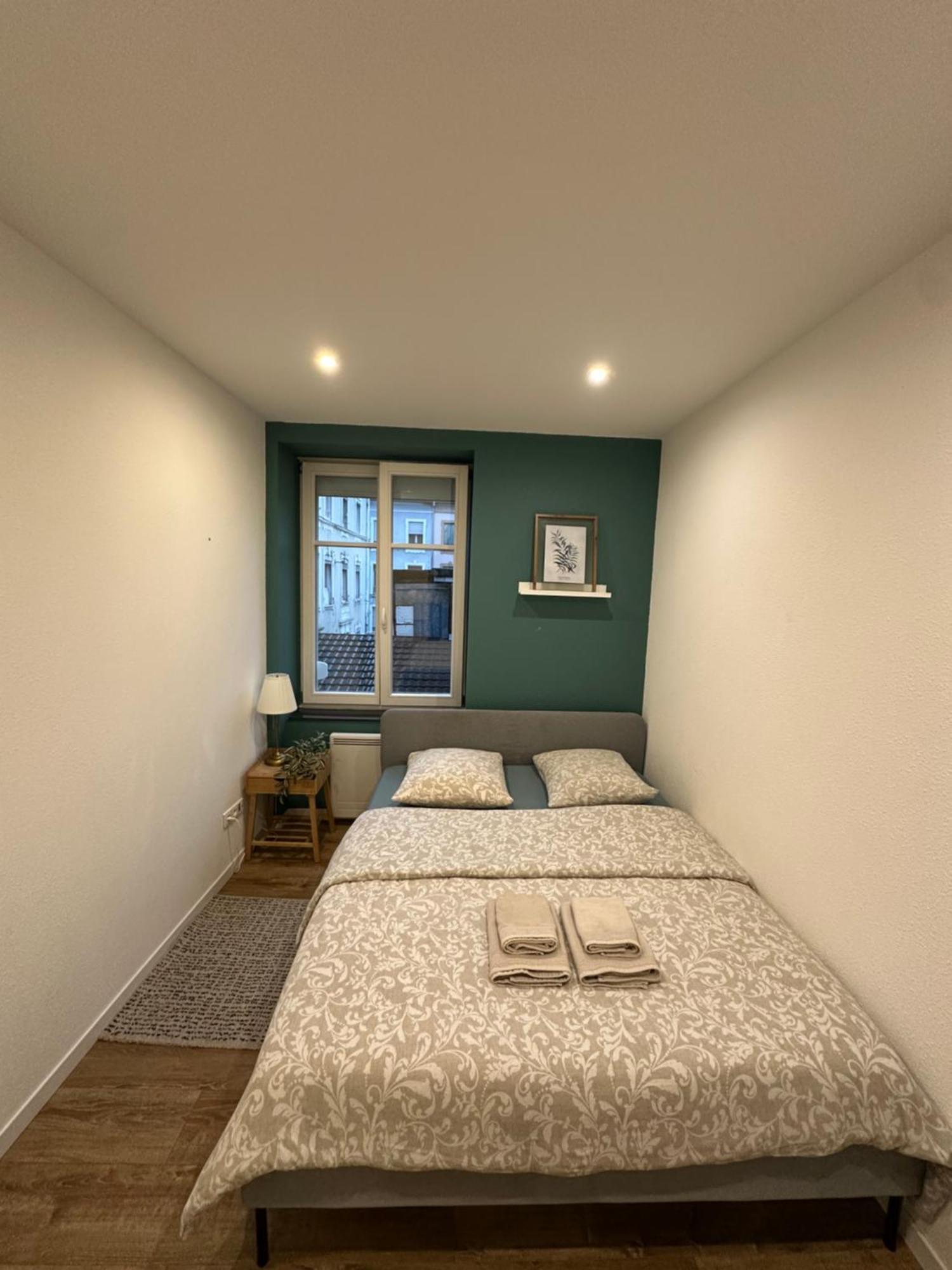 # Le 2 # Tres Beau T3 1Er Etage Tout Confort, Neuf, Mulhouse Centre エクステリア 写真