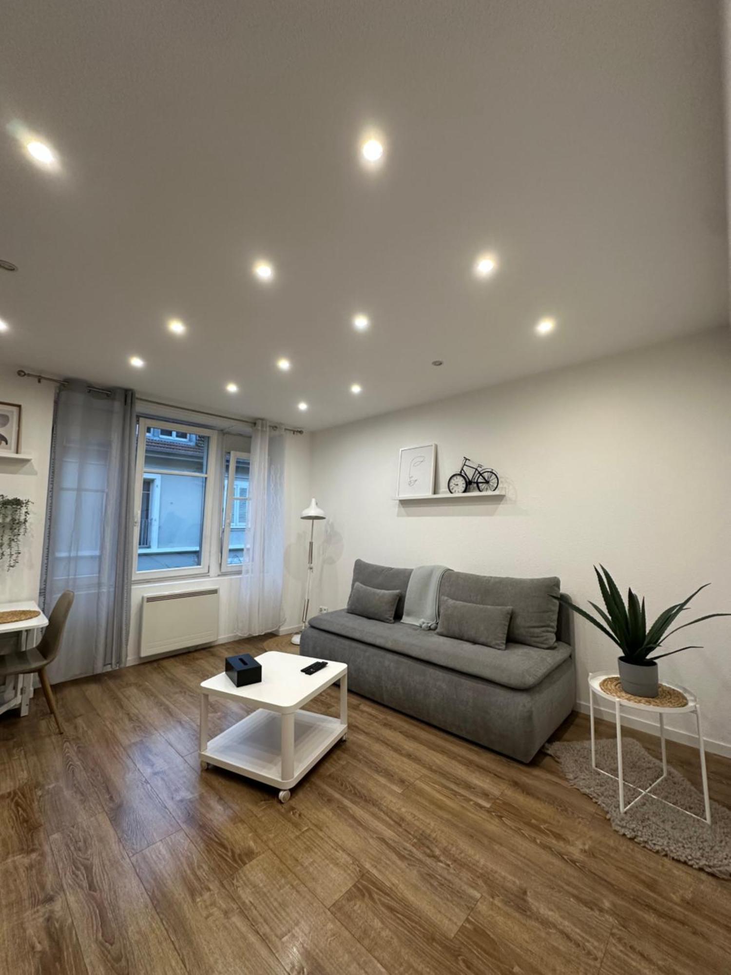 # Le 2 # Tres Beau T3 1Er Etage Tout Confort, Neuf, Mulhouse Centre エクステリア 写真