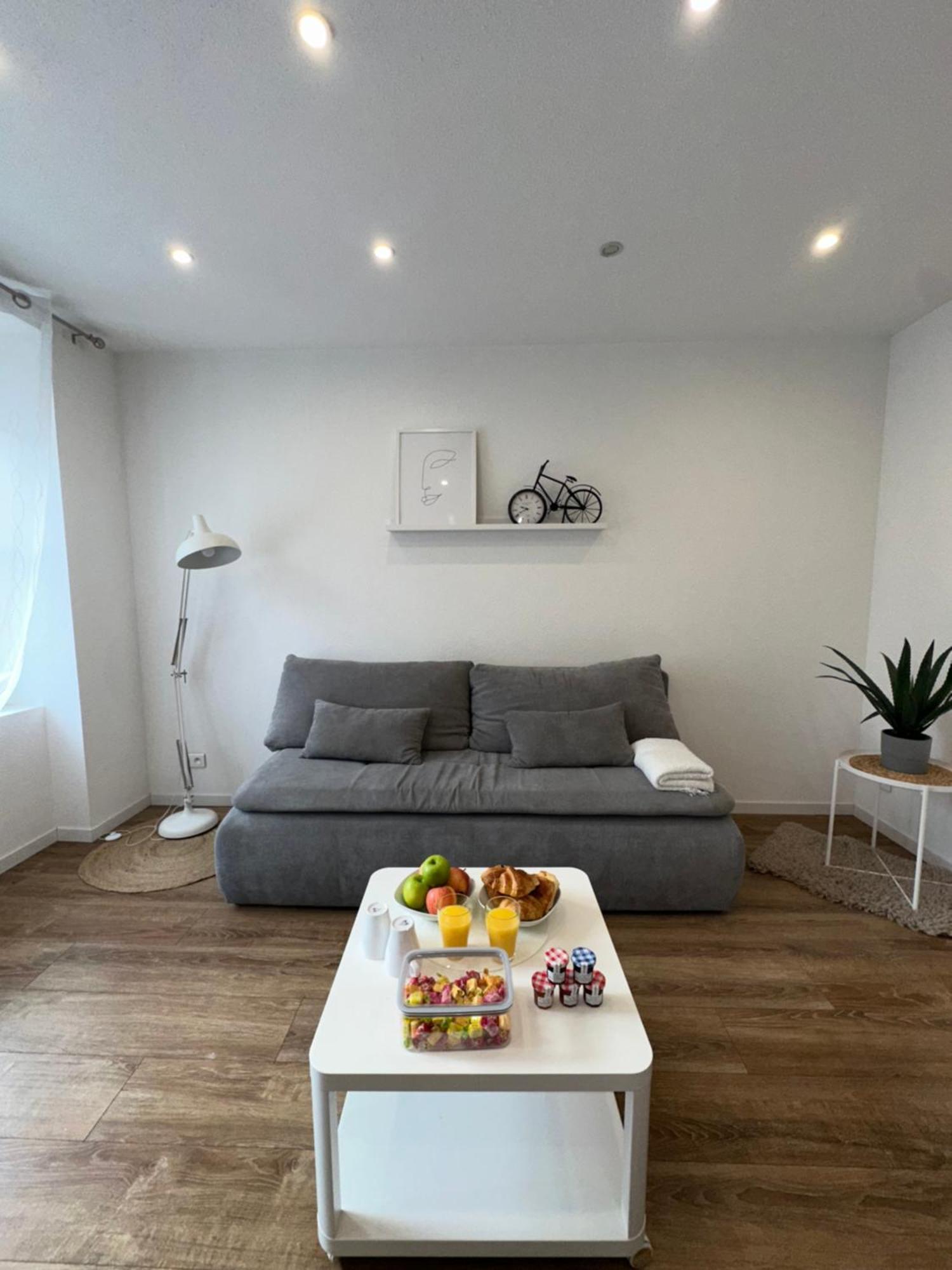 # Le 2 # Tres Beau T3 1Er Etage Tout Confort, Neuf, Mulhouse Centre エクステリア 写真