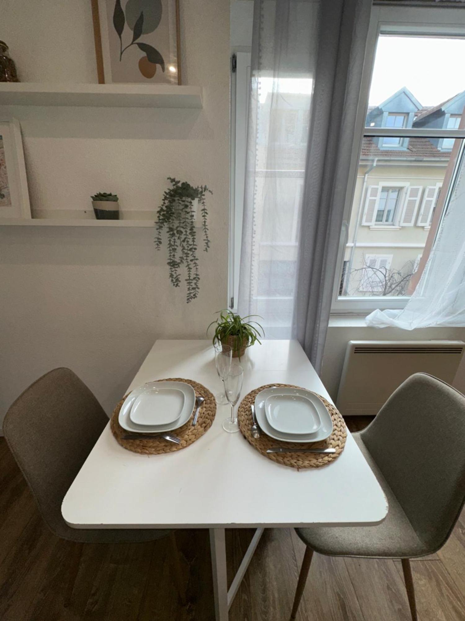 # Le 2 # Tres Beau T3 1Er Etage Tout Confort, Neuf, Mulhouse Centre エクステリア 写真